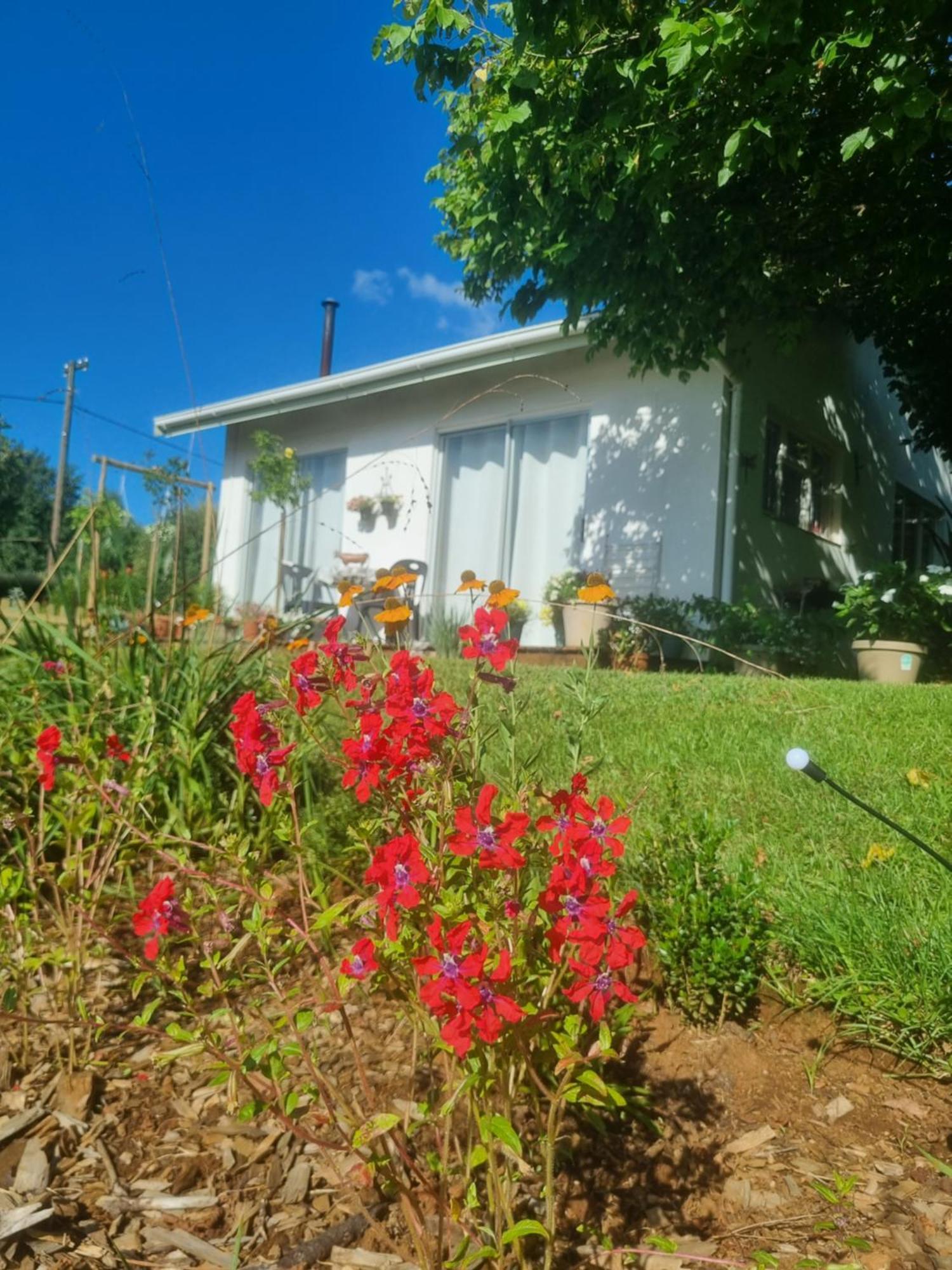 هيمفيل The Cottage On The Corner المظهر الخارجي الصورة