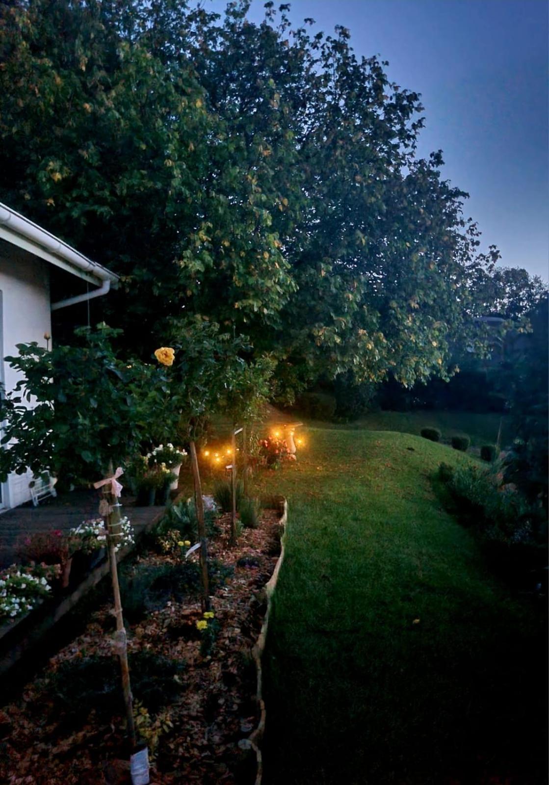 هيمفيل The Cottage On The Corner المظهر الخارجي الصورة